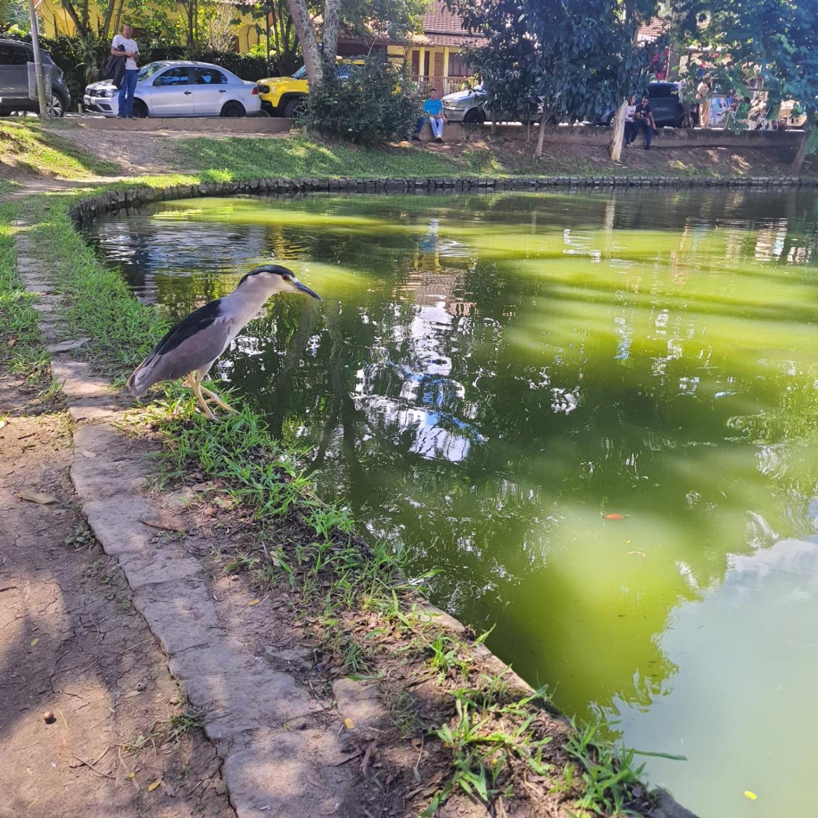 Casa Lumiar Villa Dış mekan fotoğraf
